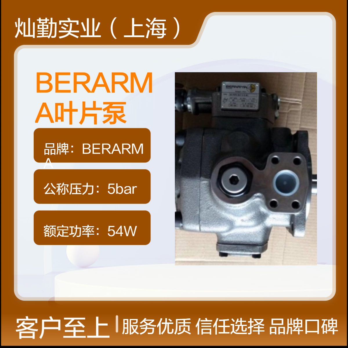 BERARMA叶片泵 5bar公称压力54W叶片泵 小型轻量泵体45cm