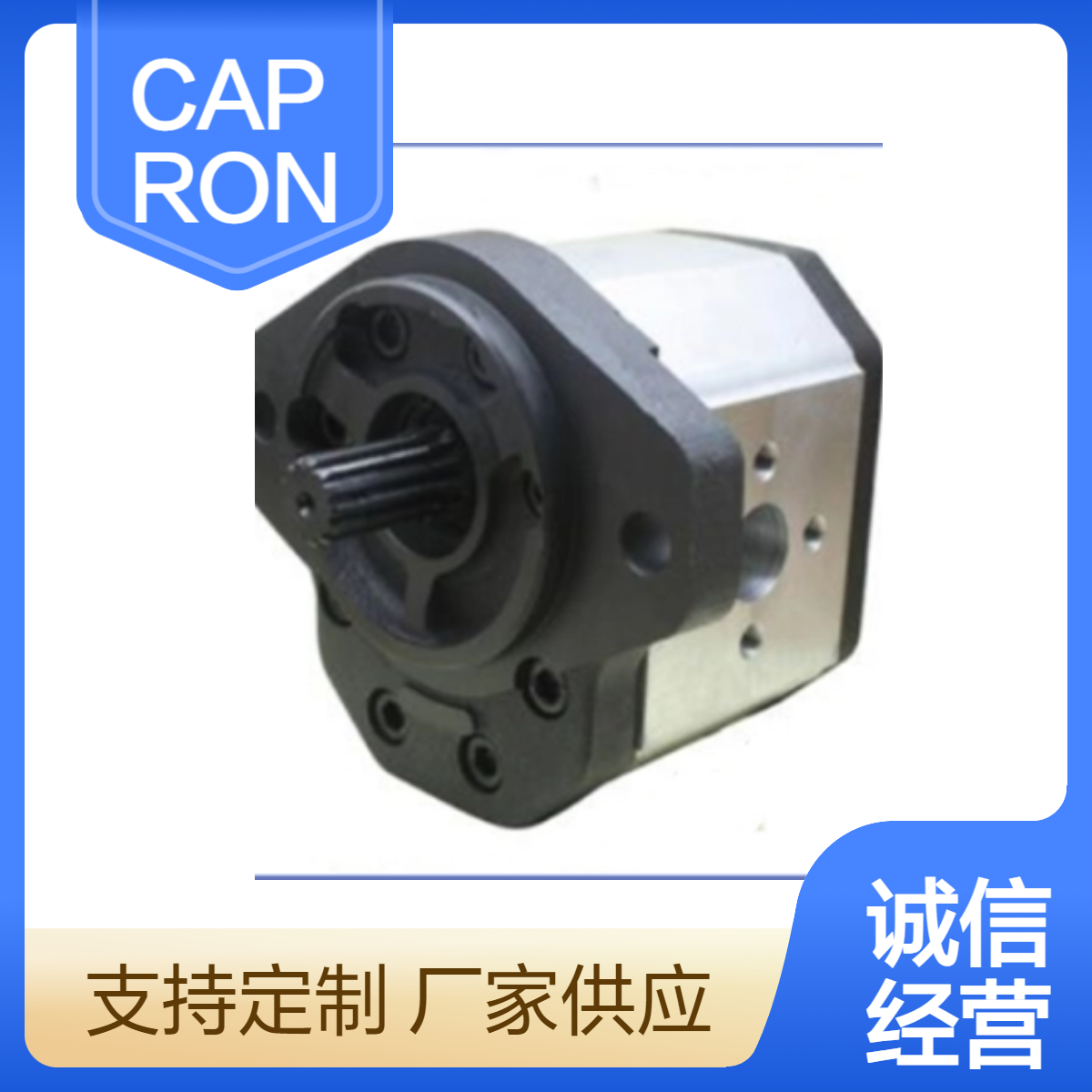 CAPRONI液压泵 排出口径26 汽蚀余量59 吸入口径56 高扬程569