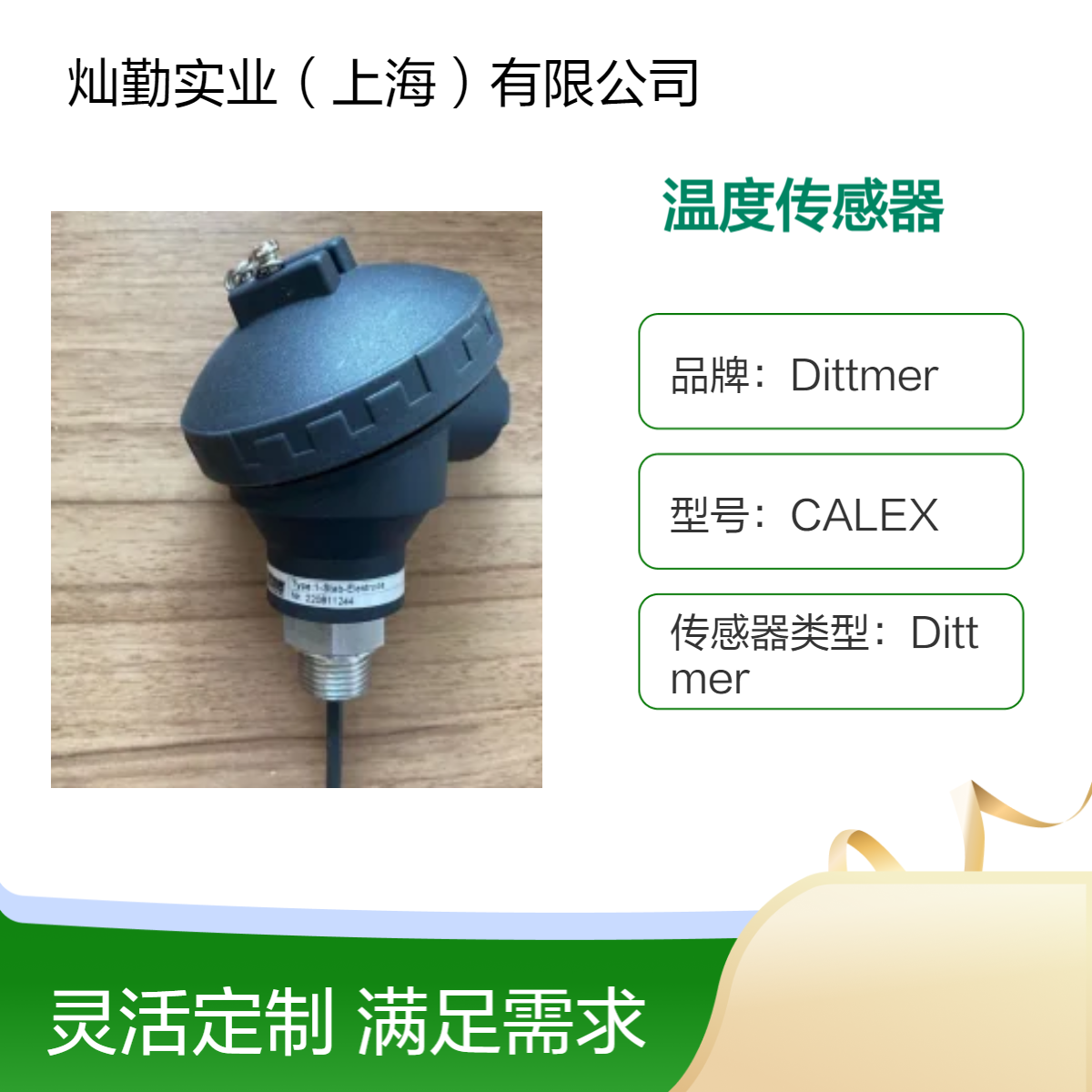 Dittmer温度传感器 精度1℃ 高效测温