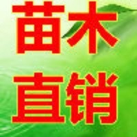 陕西鸿盛瑞农林科技有限公司