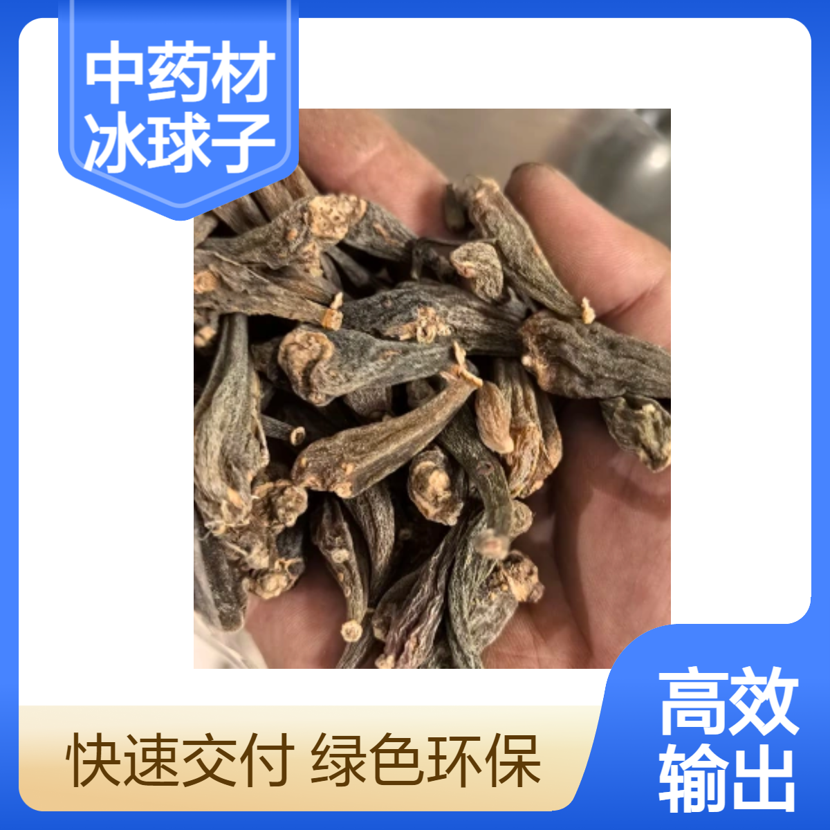 中药材冰球子批发 汝安堂批发药材品种齐全