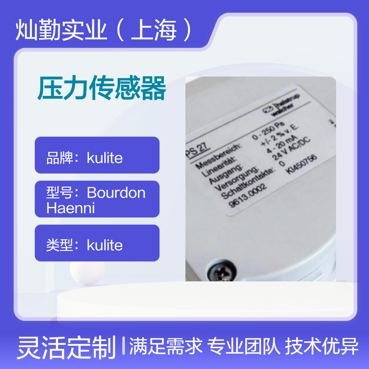Halstrup-Walcher压力传感器波长156nm近距探测651供电220V盒装