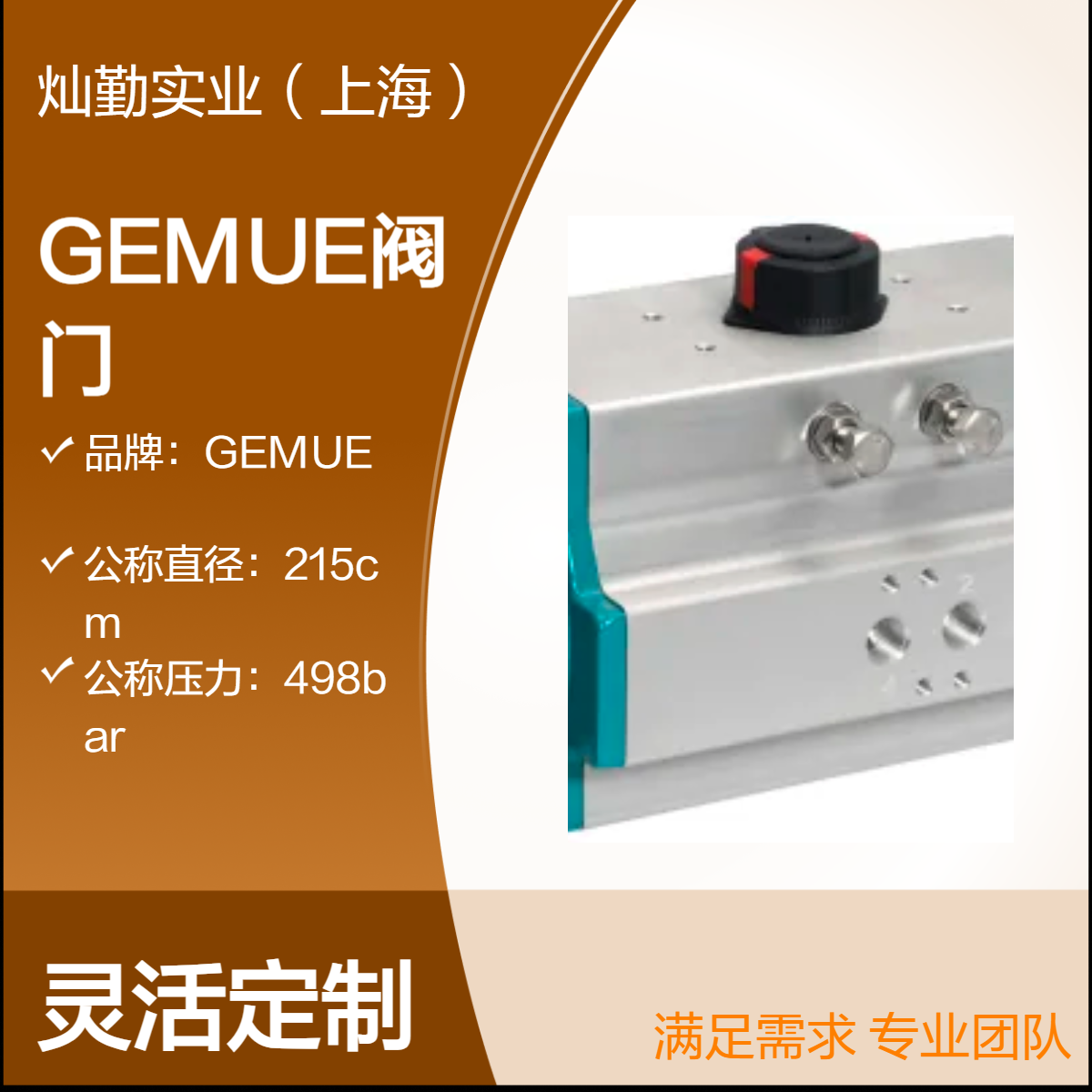 55个 GEMUE阀门 专用工业流体控制阀 多场景适用 专业品质