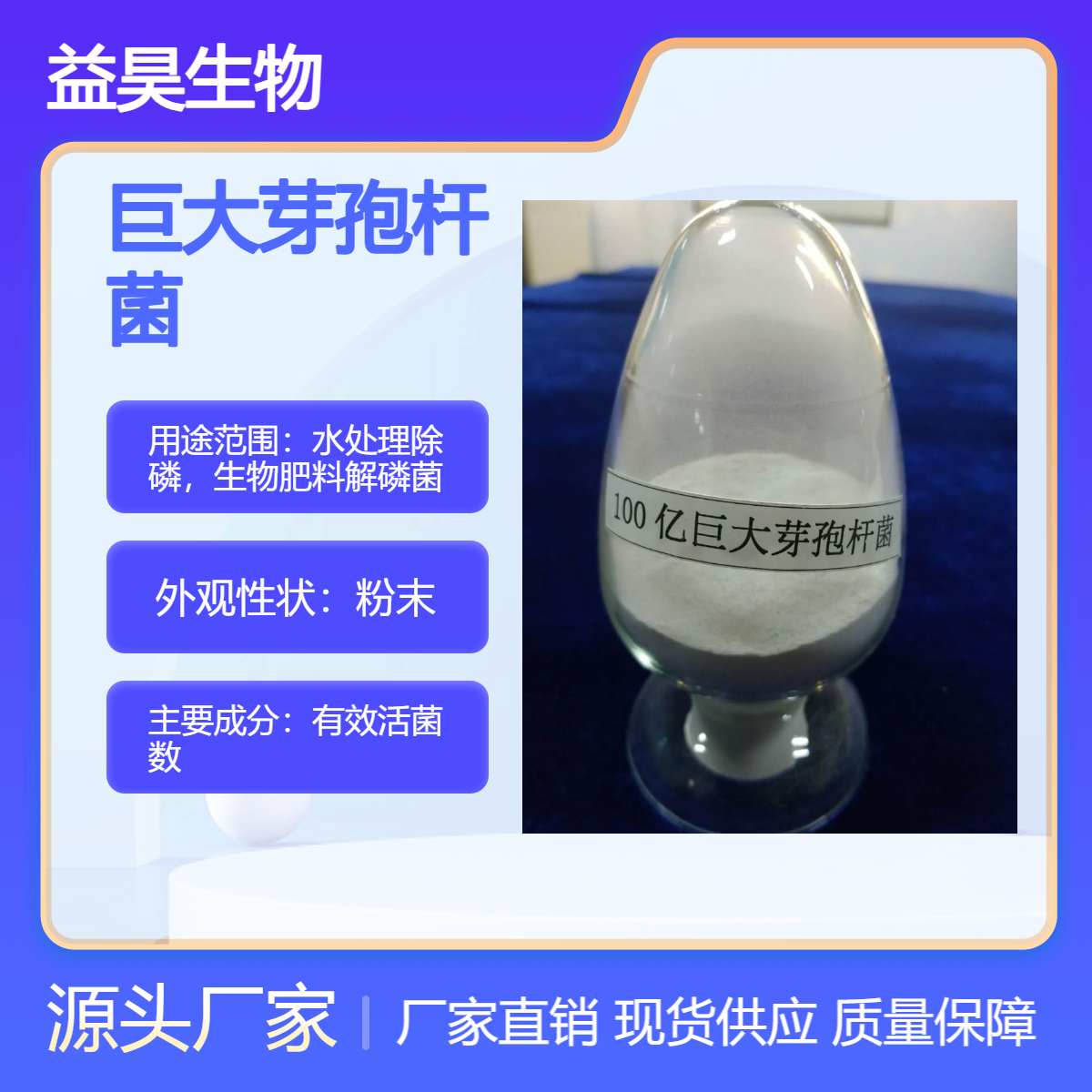 巨大芽孢杆菌 100亿菌含量 水处理除磷菌剂 生物肥料解磷细菌