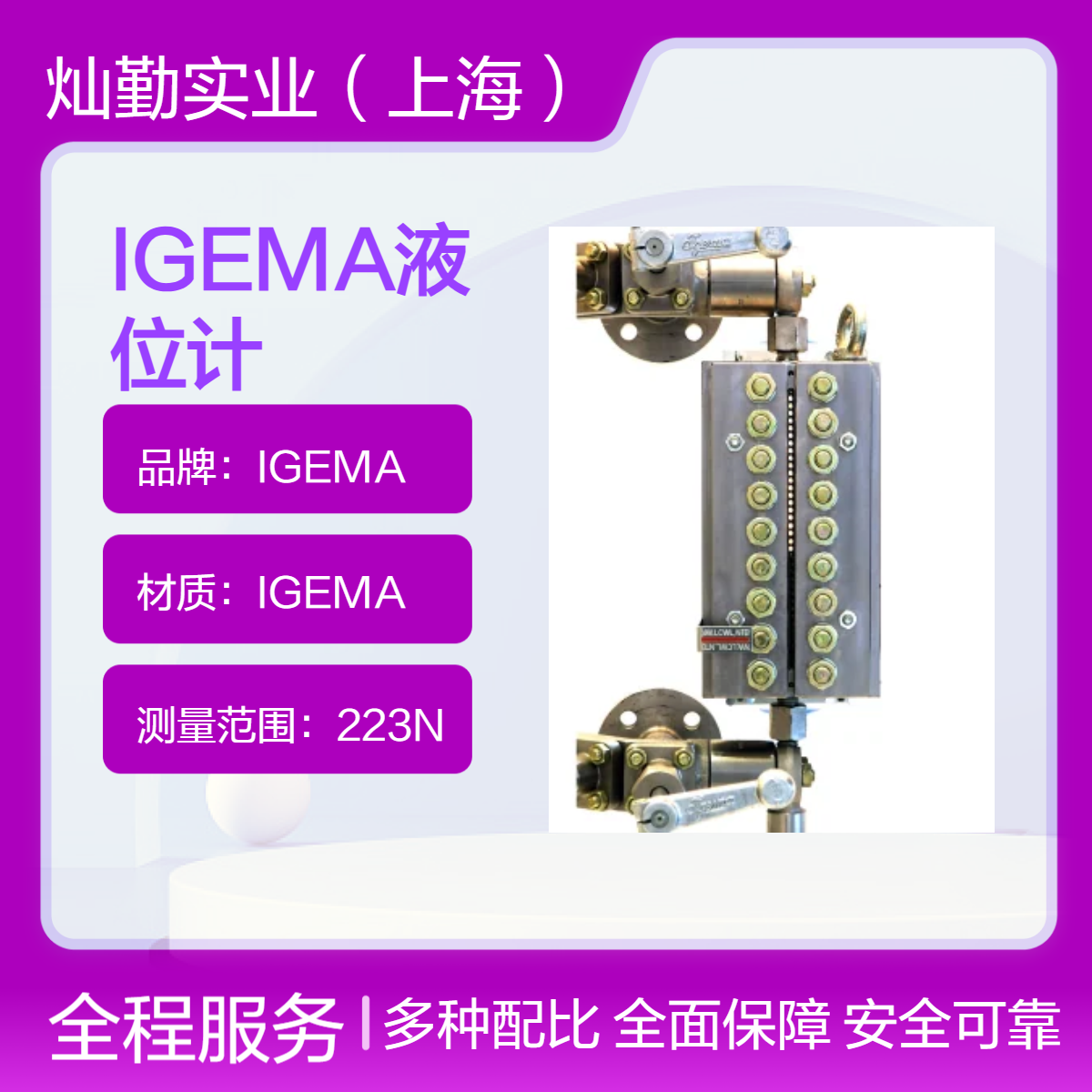 IGEMA液位计测量范围广高精度液位仪表工业用液位测量
