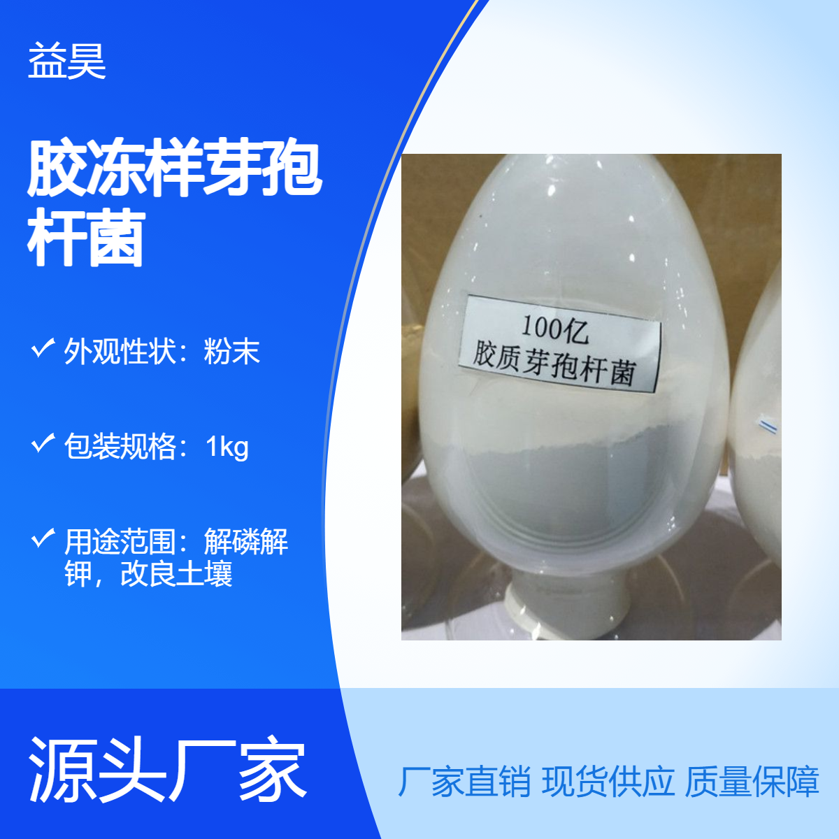 胶冻样芽孢杆菌100亿 解磷解钾 改良土壤 微生物菌剂