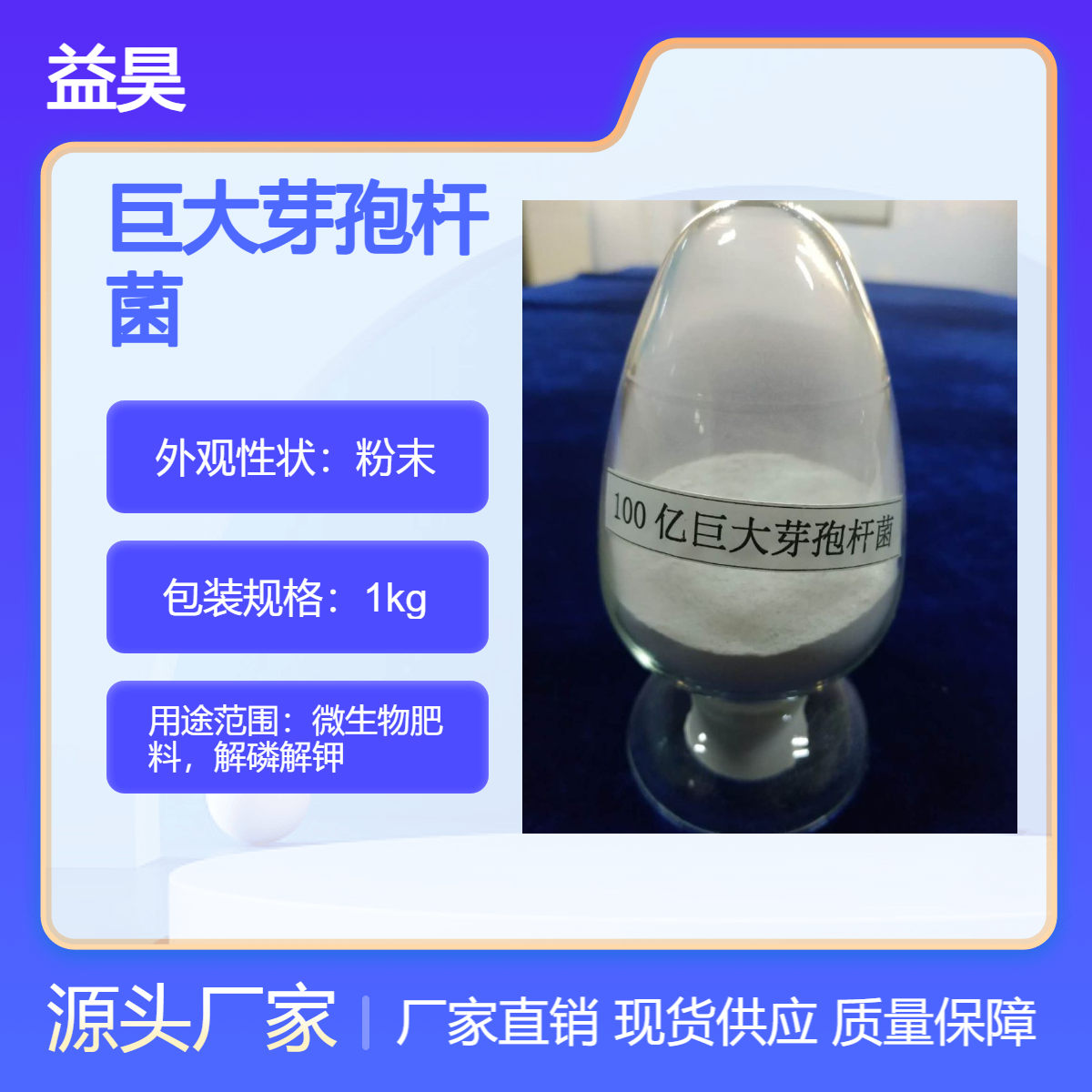 巨大芽孢杆菌 微生物肥料 100亿全水溶 改良土壤 解磷解钾 提高肥力