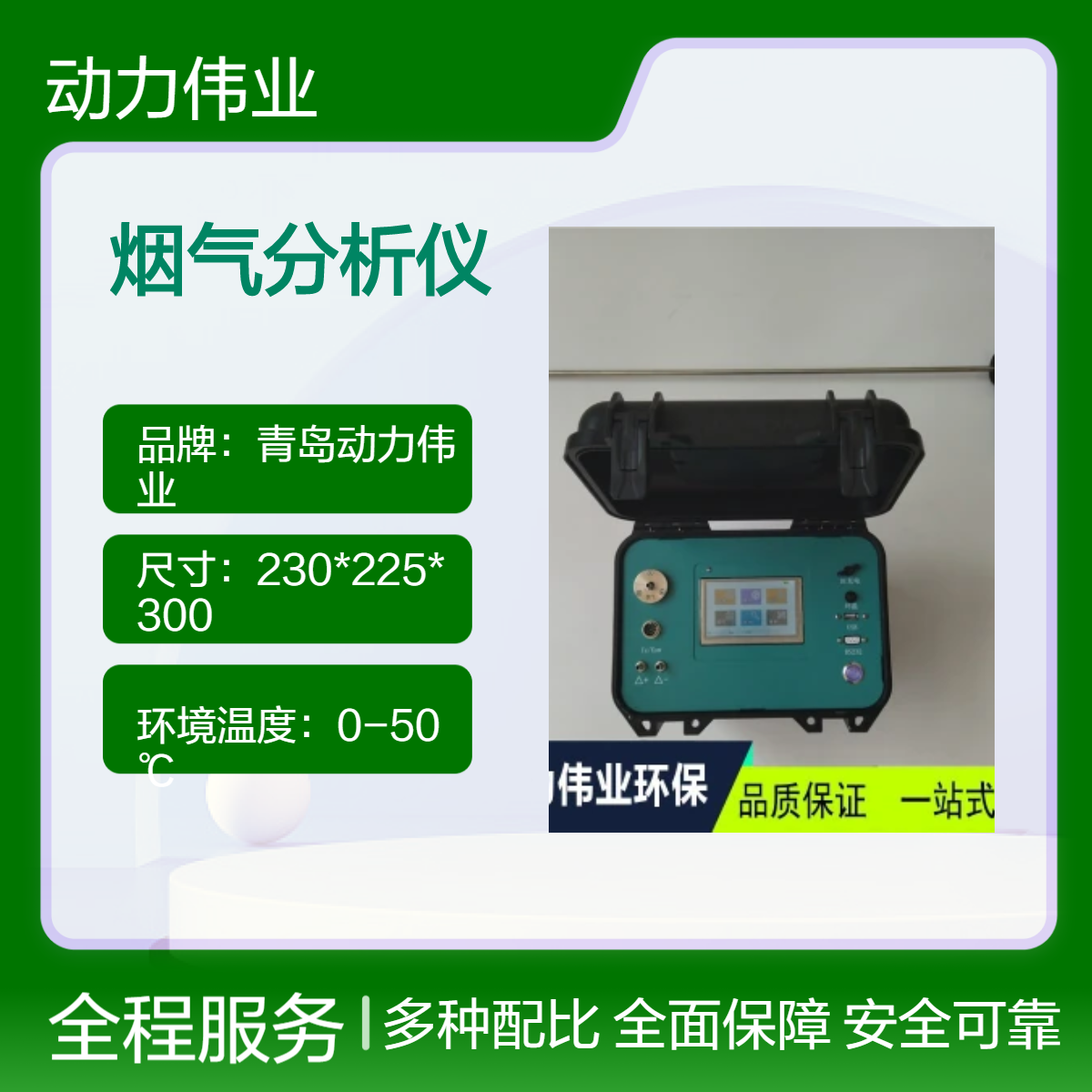 固定污染源废气监测DL-6310型便携式烟气分析仪
