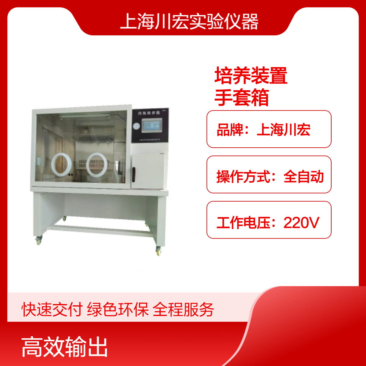 厌氧菌培养装置YQX-III 厌氧生物无氧细菌培养 手套箱