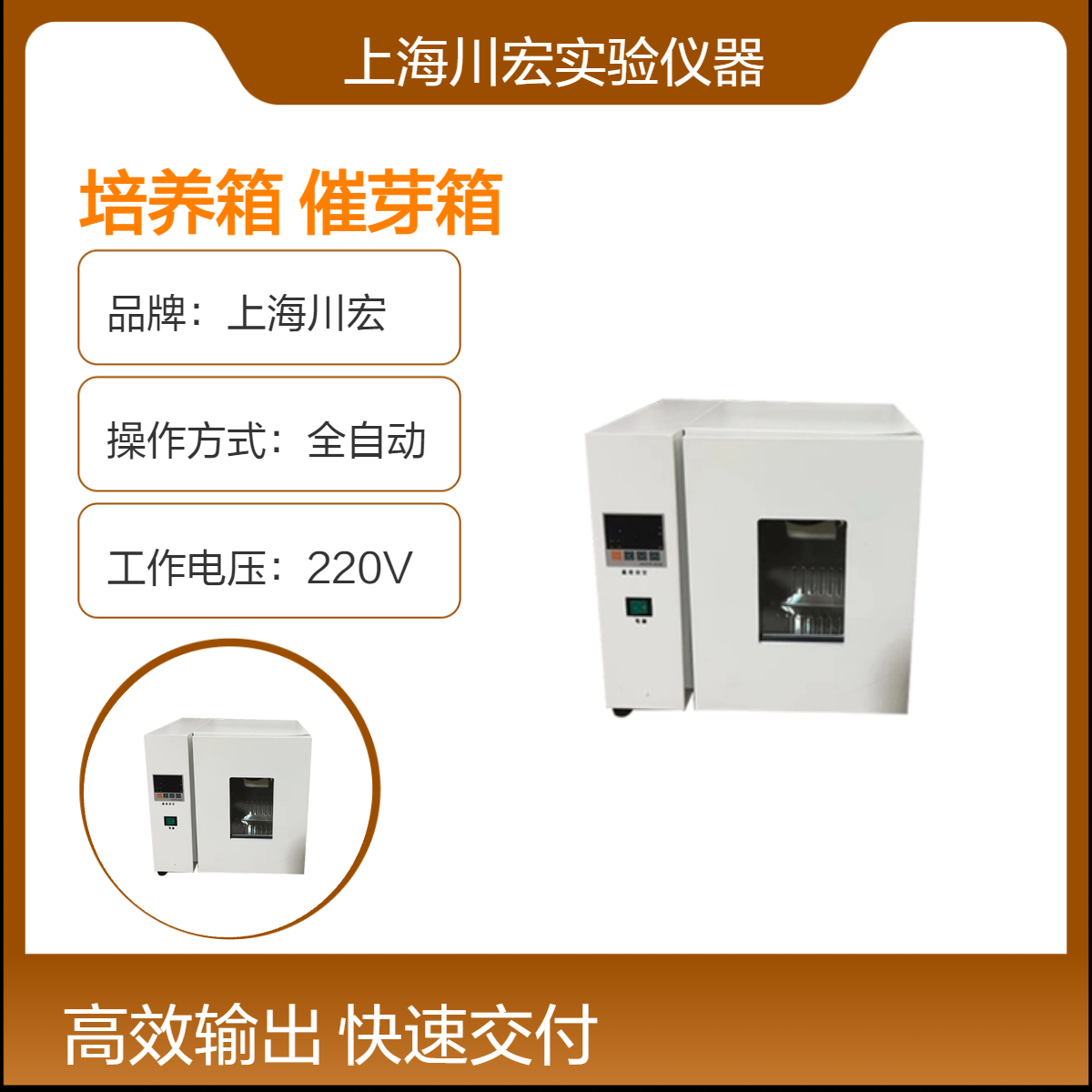 实验室微生物电热恒温培养箱DH2500B 种子发芽催芽箱