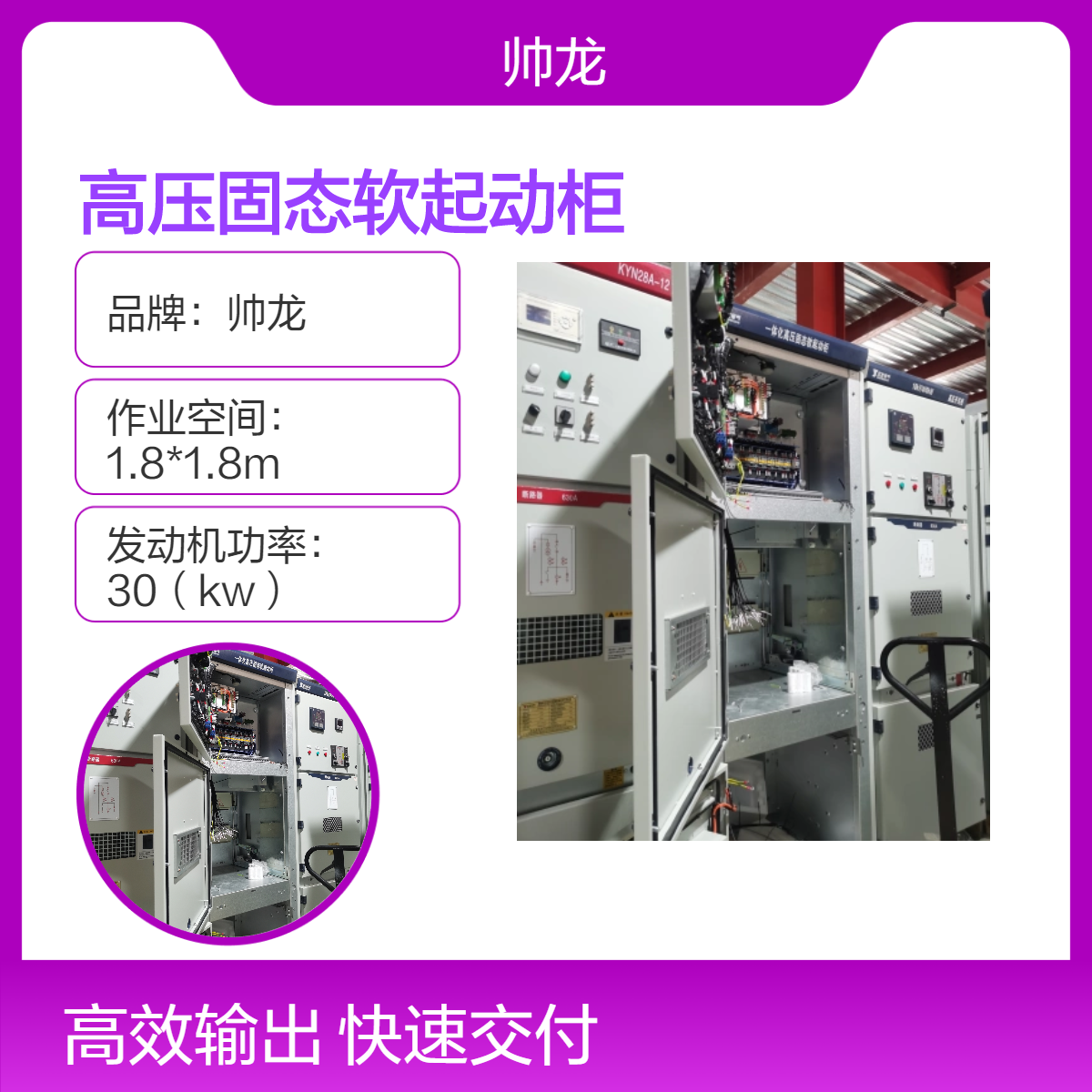 帅龙高压固态软起动柜 高压电机启动柜 空压机球磨机起动装置