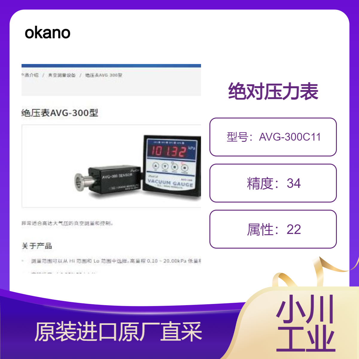 绝对压力计 AVG-300C11 高精准度 用于大气压的真空测量和控制 okano