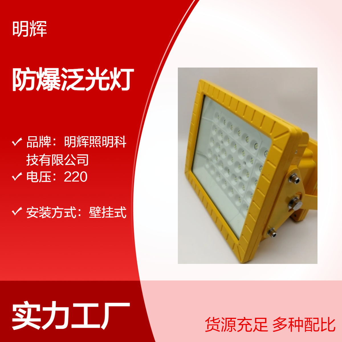 BMF970 220V IP66防水LED防爆泛光灯 壁挂式工业照明灯具