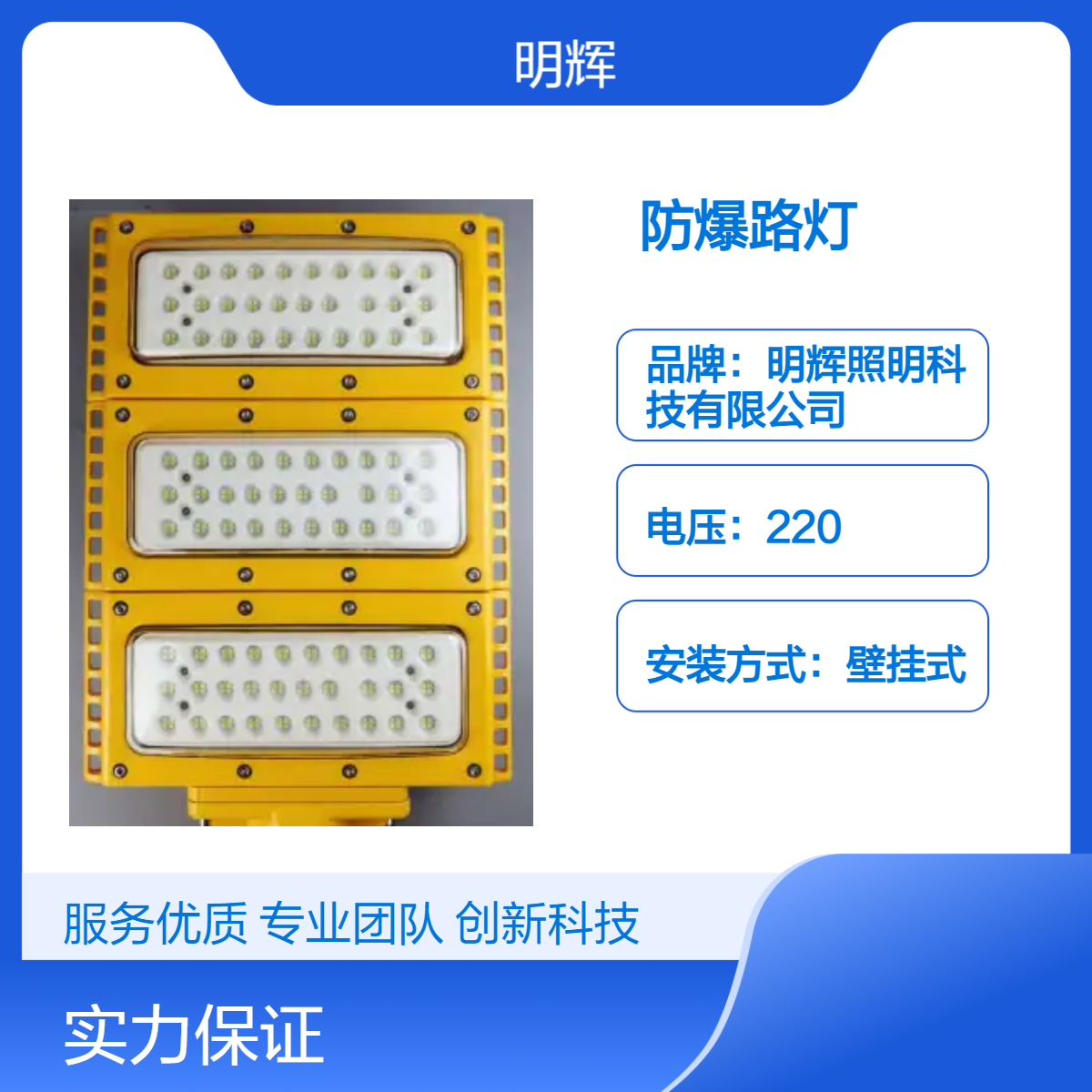 MBF973IP66防水防爆泛光灯 LED壁挂式路灯 铝合金外壳G3/4接口