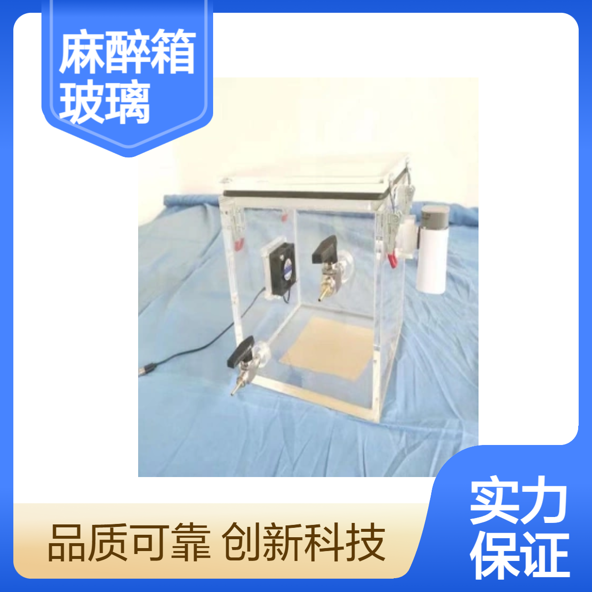 玻璃动物麻醉箱实体厂家定做加工有机玻璃箱加工定制