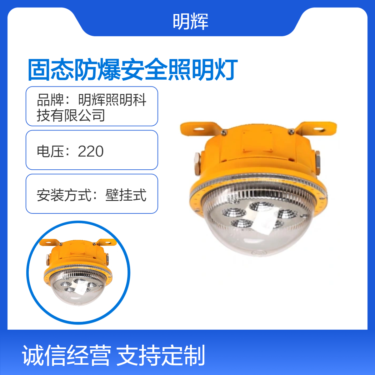 固态防爆安全照明灯MBF813 黄色LED壁挂式IP 65