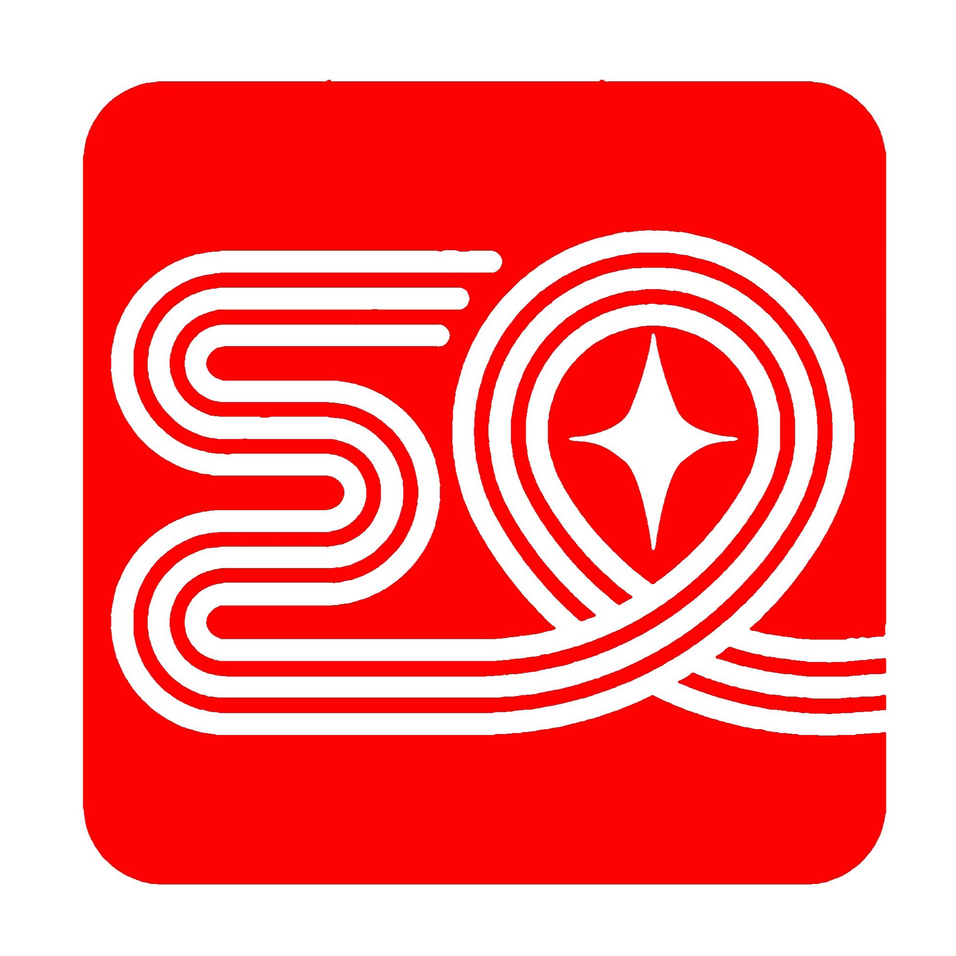 山东汉星电缆有限公司