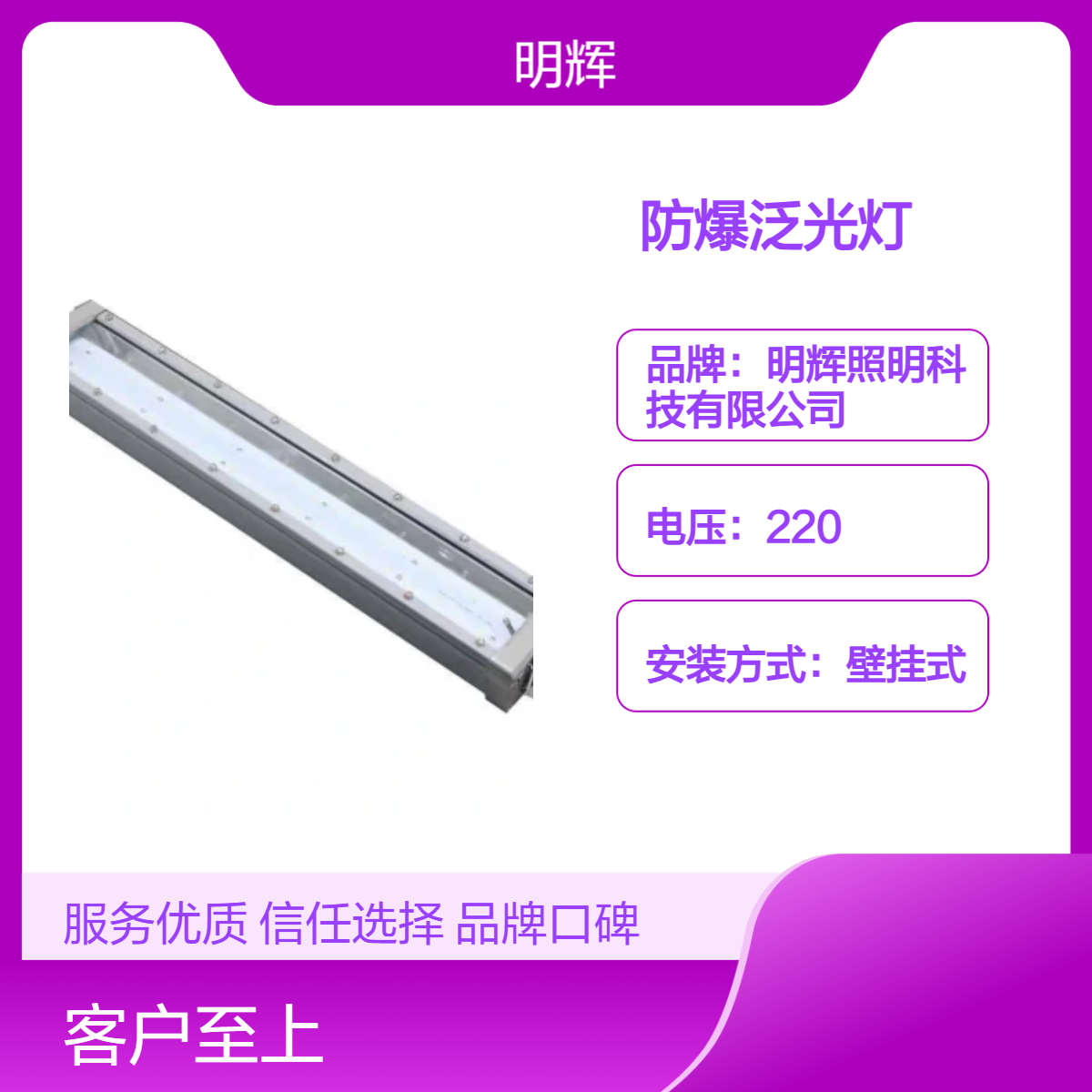 IP66级防爆泛光灯 铝合金LED壁挂式照明灯明辉照明