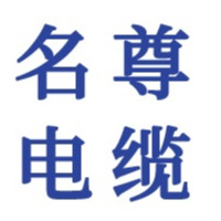 南京名尊电缆有限公司 - 公司logo