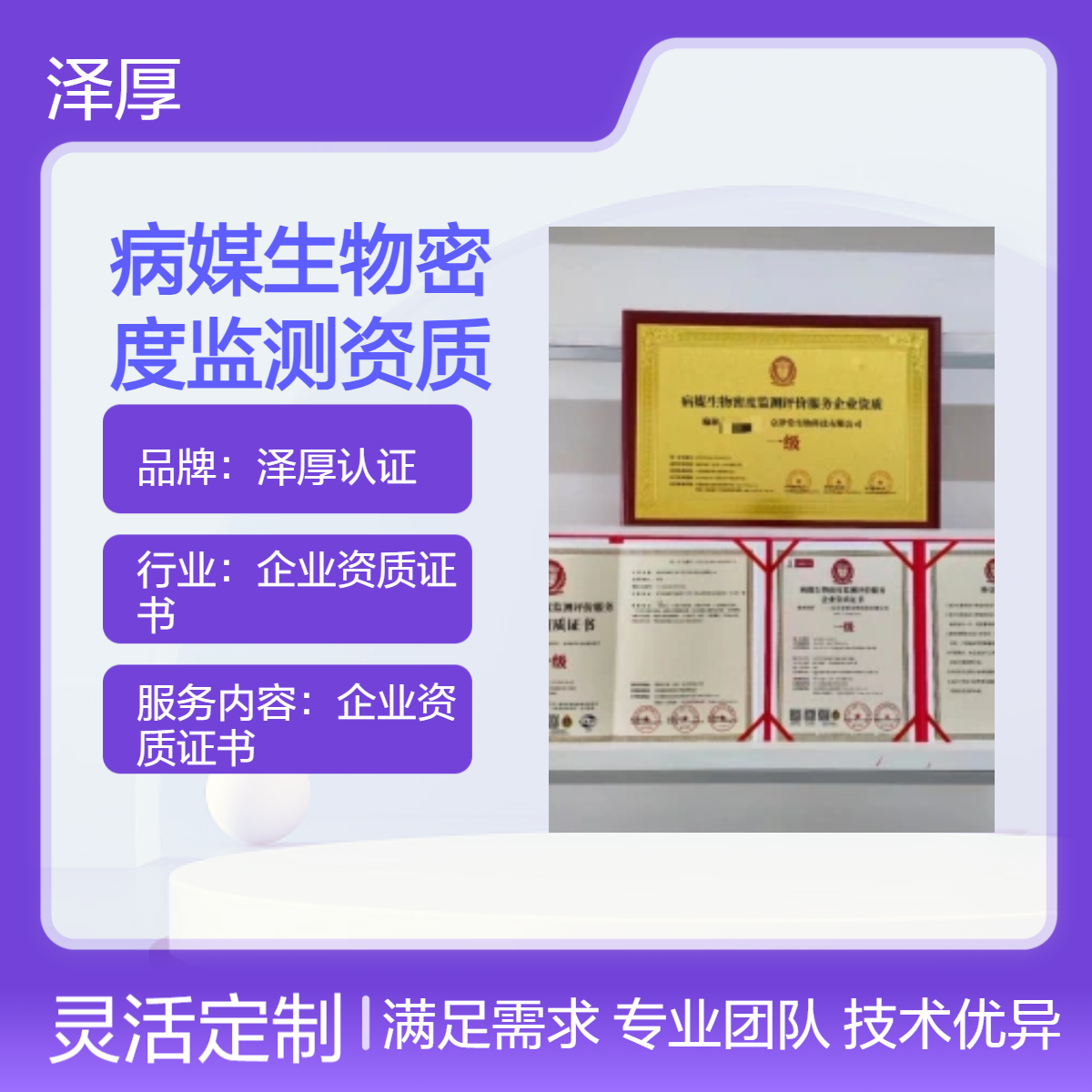 病媒生物密度监测评价服务企业资质证书 甲级资质 办理条件