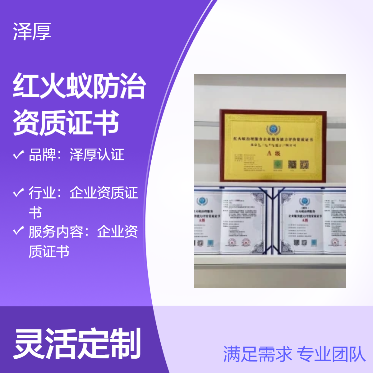 红火蚁防治企业资质证书 全国可办 一级甲级办理