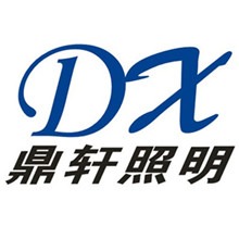 Yueqing Dingxuan Lighting Co., Ltd - Company Logo