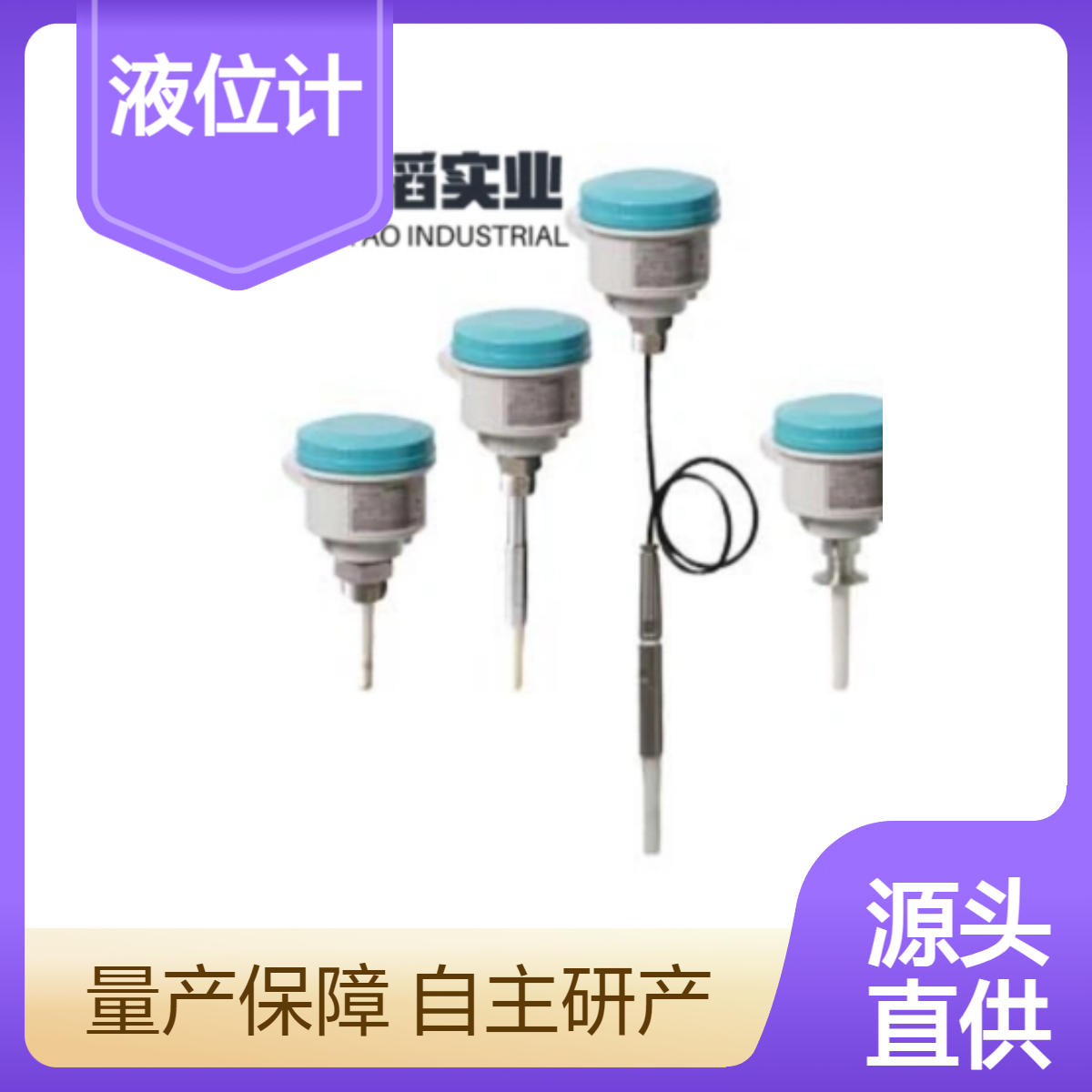 7ML5650-0CB10-0HB0-ZY01 西门子 Pointek CLS300 液位计