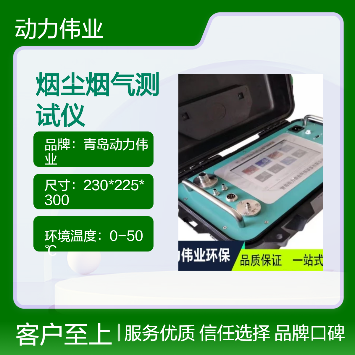 定电位电解法DL-6300自动烟尘烟气测试仪内置电源