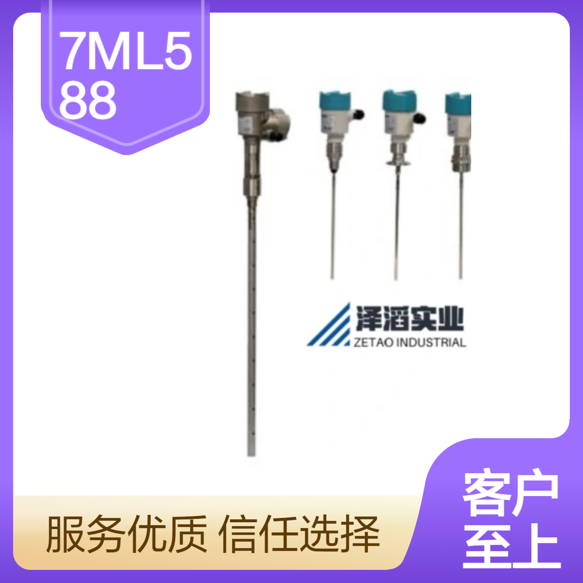 7ML5881-0AE03-0BB1-ZA00B00C01E01L08M01Y01 西门子 SITRANS LG250 液位计