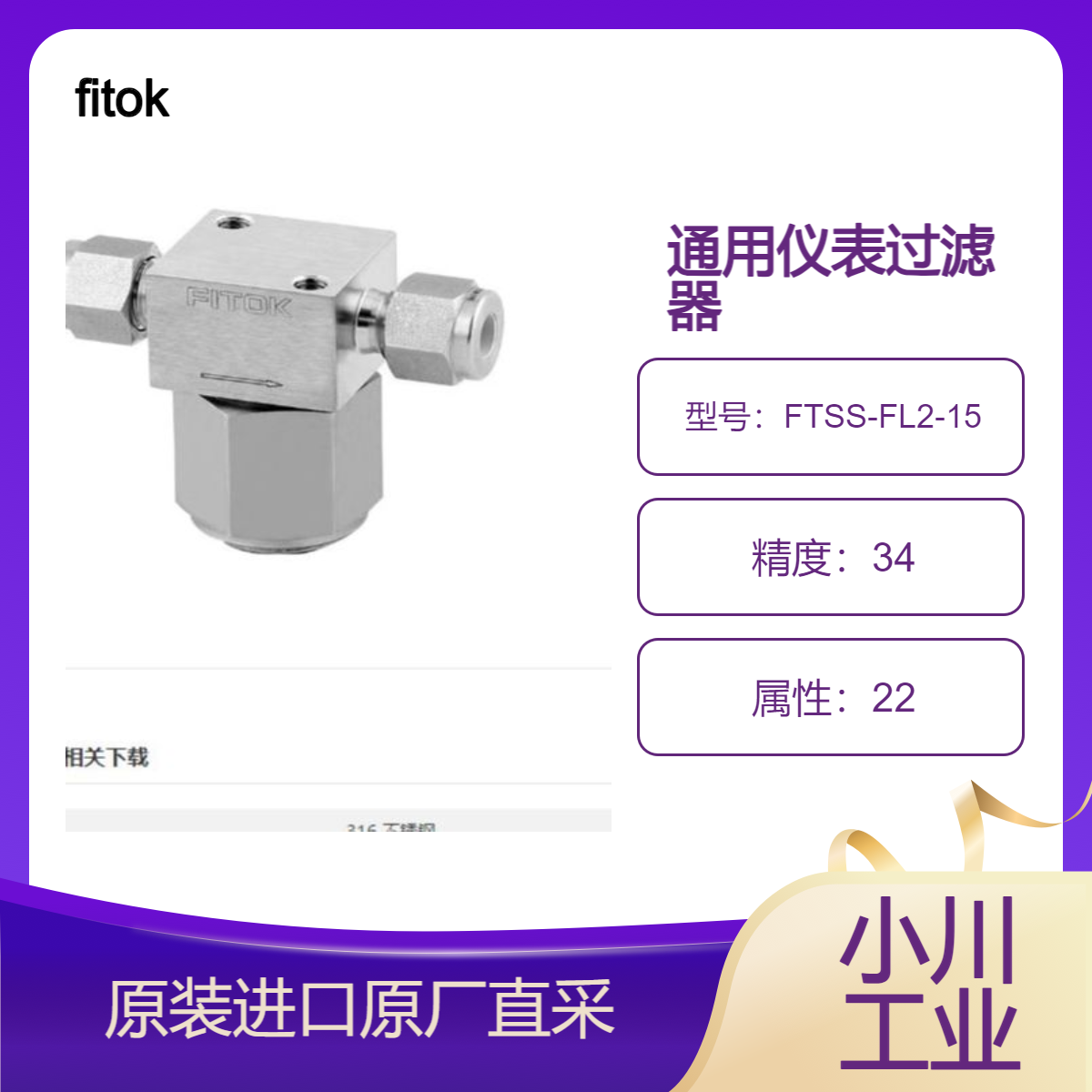fitok 通用仪表过滤器 FT系列T型FTSS-FL2-15/FTSS-FL2-05-R110