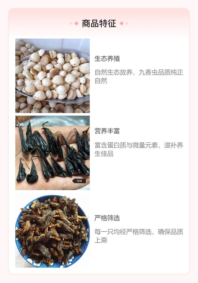 昆虫中药认识大全图片图片