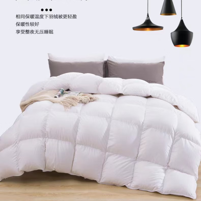 杭州 洁丽雅 总代理商 臻品羽绒被