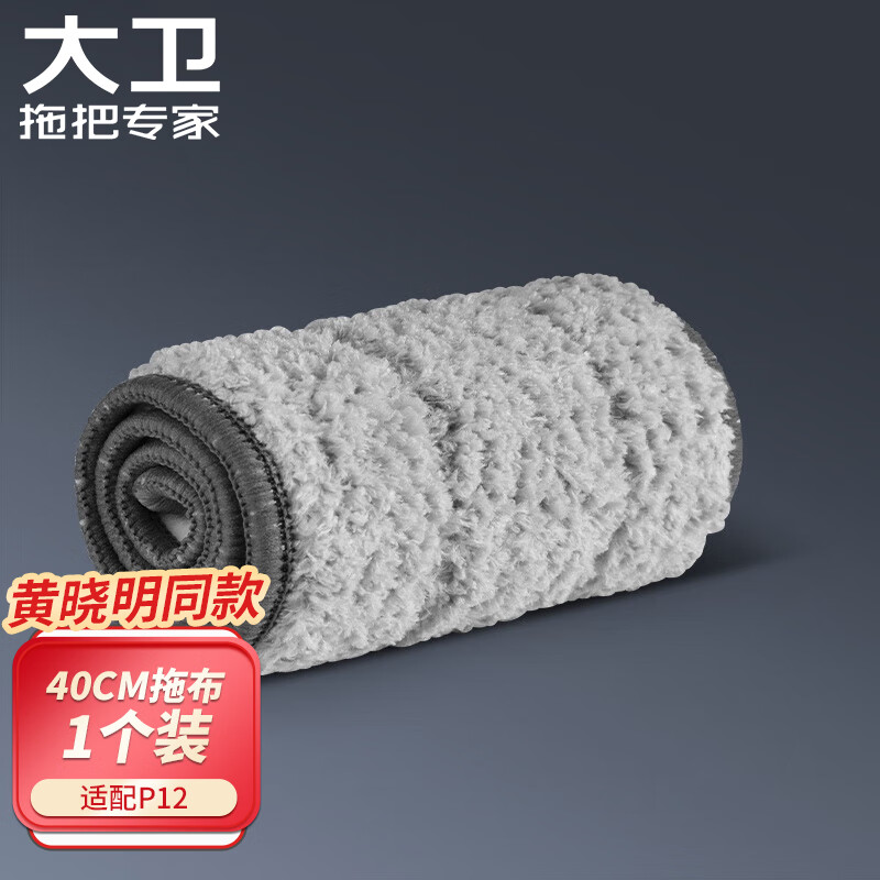 杭州 大卫 总代理商 平板拖把替换配布复合纤维拖布头一块装（适用P12