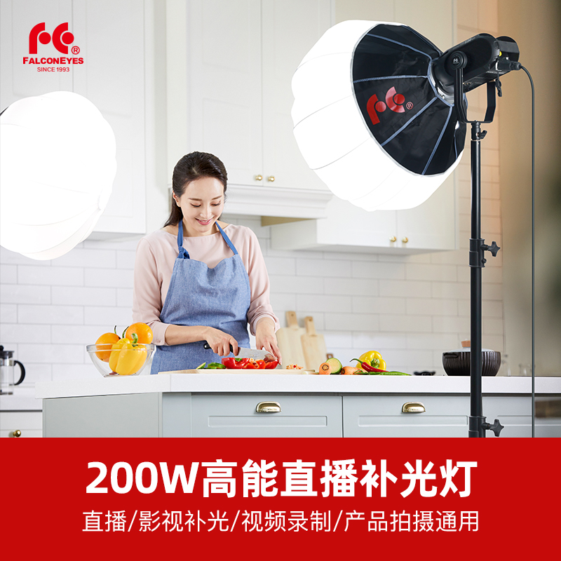 锐鹰S20外拍补光灯保荣口摄像直播太阳灯LED摄影影视聚光灯视频美