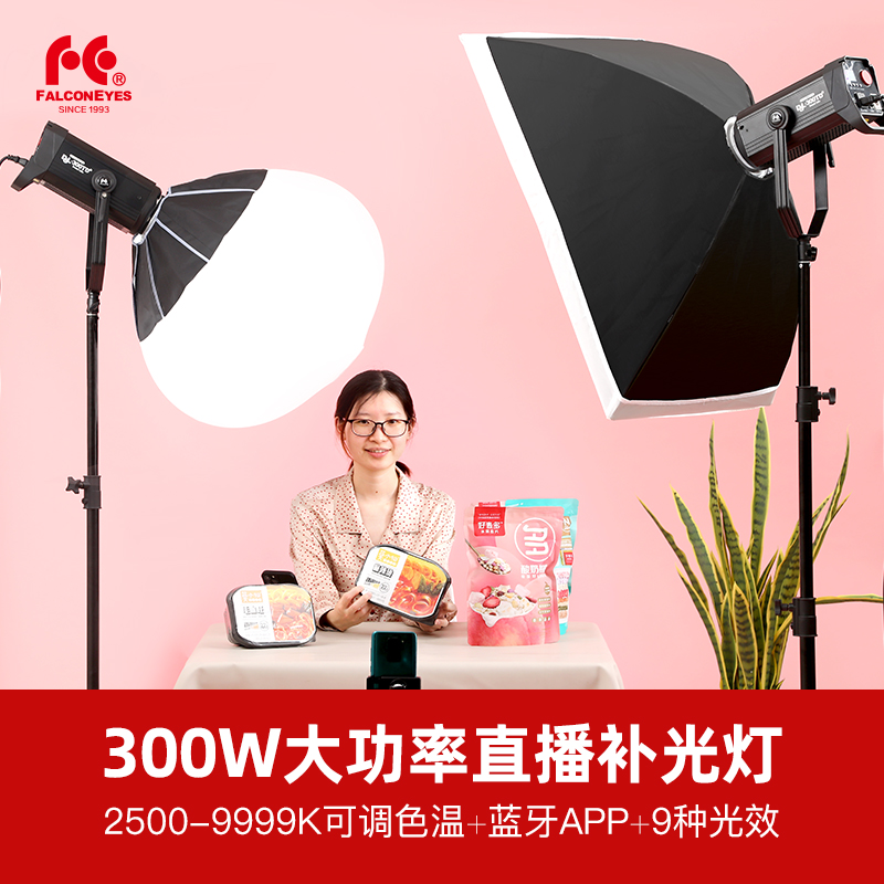 锐鹰DSL-300TD大功率300W网红直播灯2500-9999K可调色温摄像补光