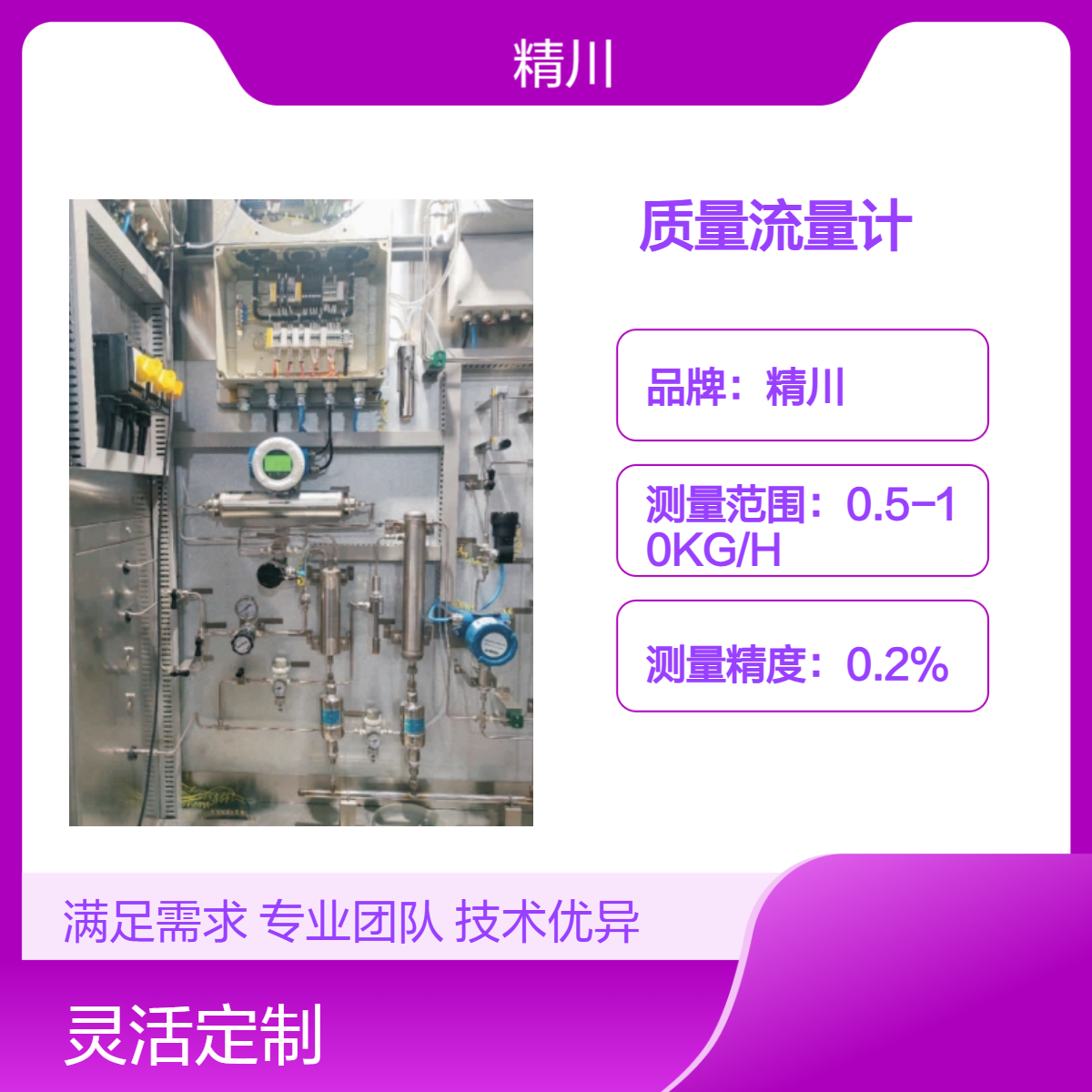 精川直管质量流量计测量高粘介质卫生级别高