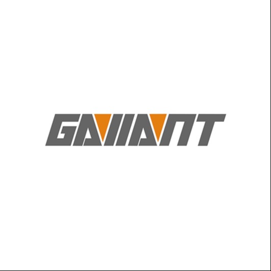 东莞市骏马电子有限公司