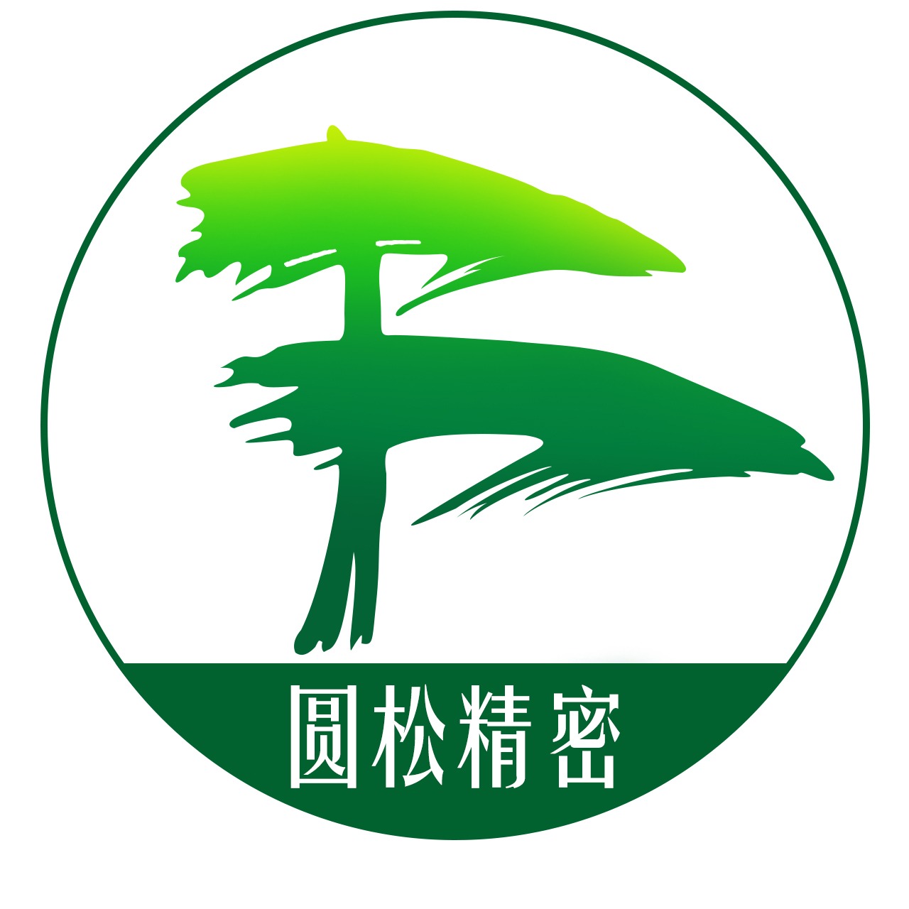 Yuansong (Chengdu) Precision Instrument Equipment Co., Ltd - Company Logo