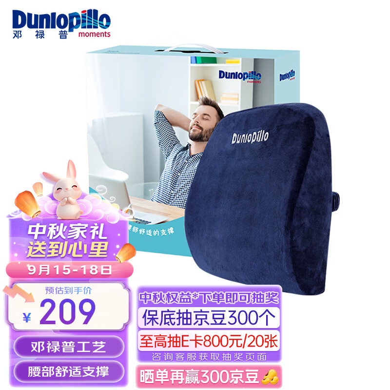 杭州 邓禄普 总代理商 15067106445 汽车腰垫乳胶枕 车载靠背枕 释压按