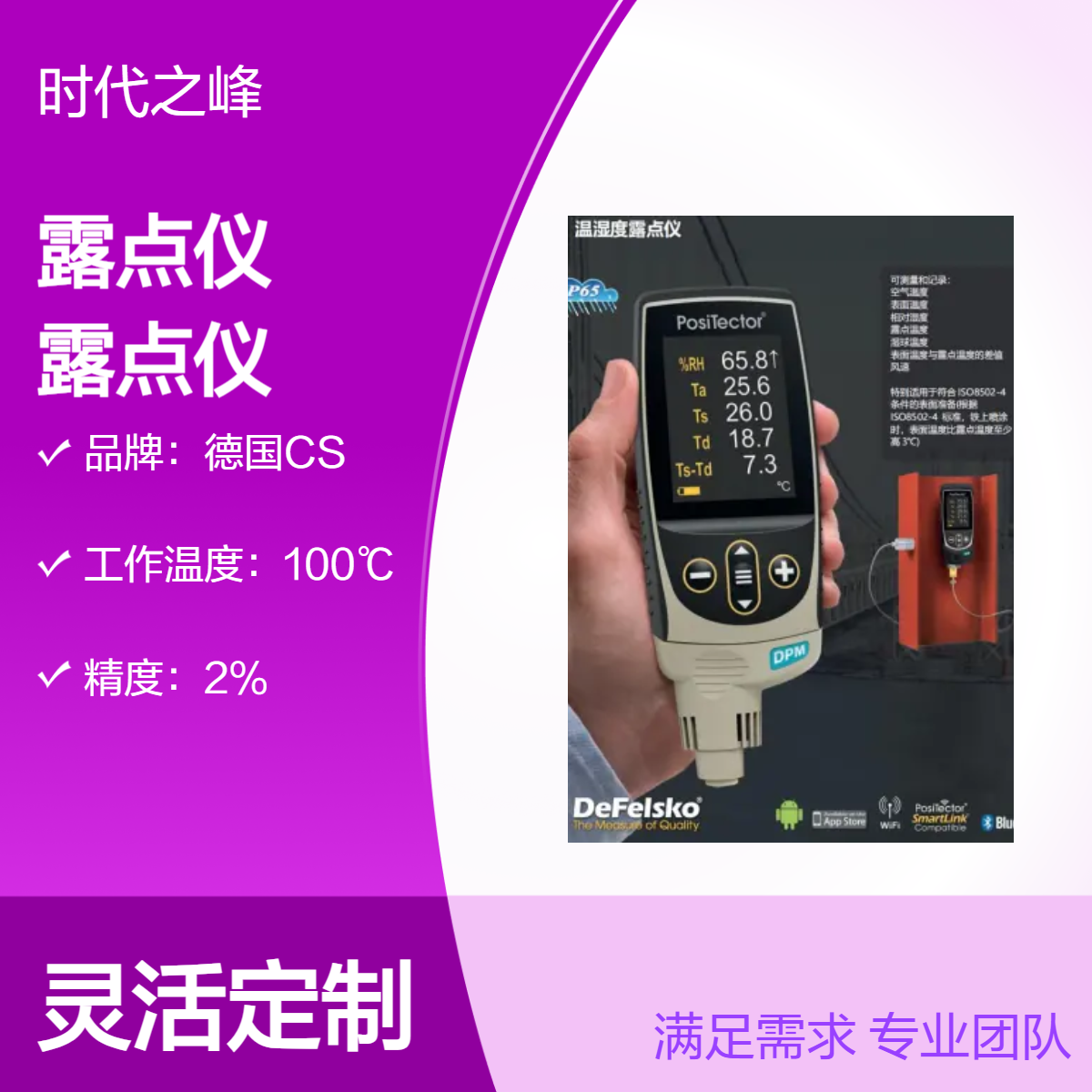 美国DeFelsko公司PosiTector DPM露点仪温湿度露点仪