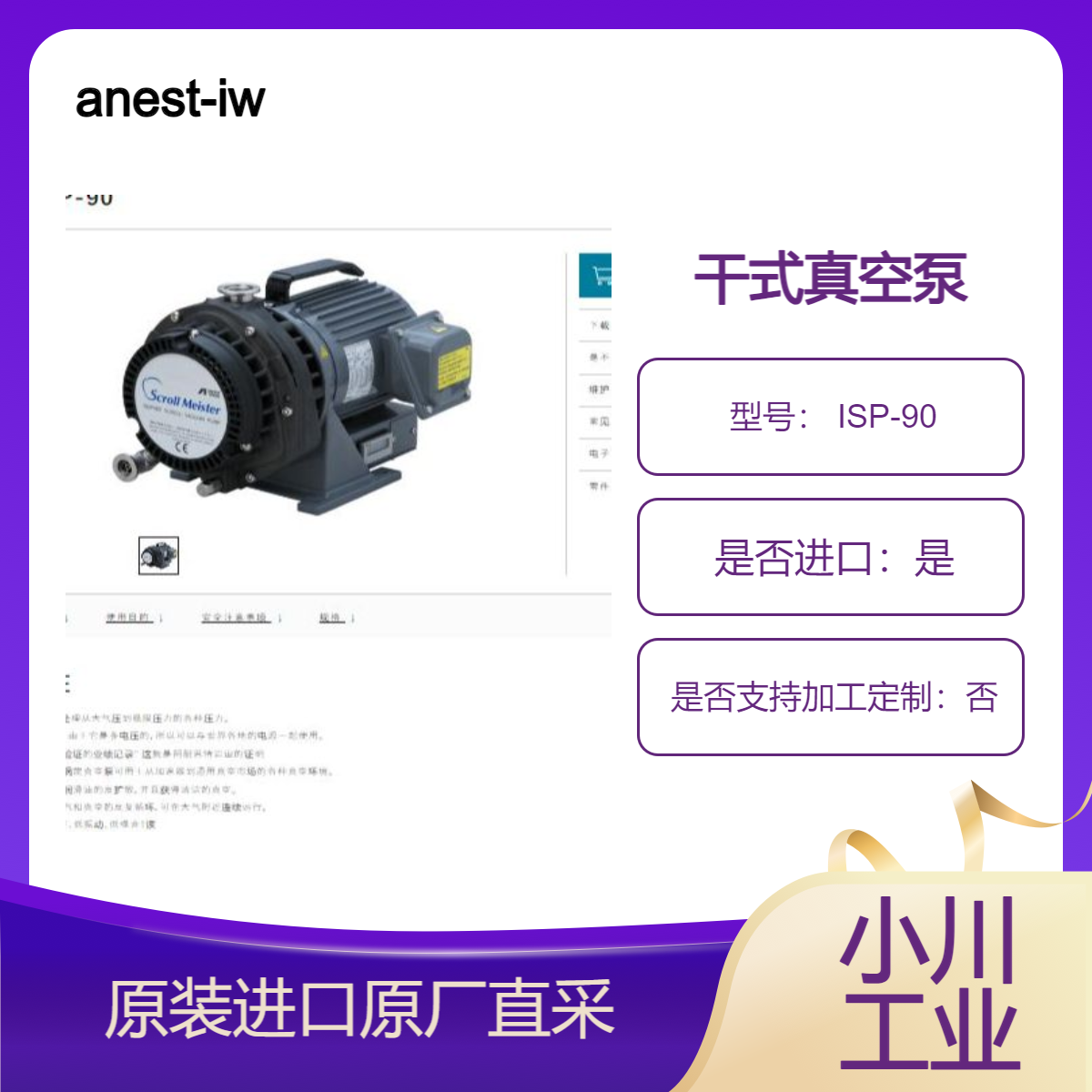 anest-iwata 干式真空泵 ISP-90 用于表面改性设备 电子束加工等