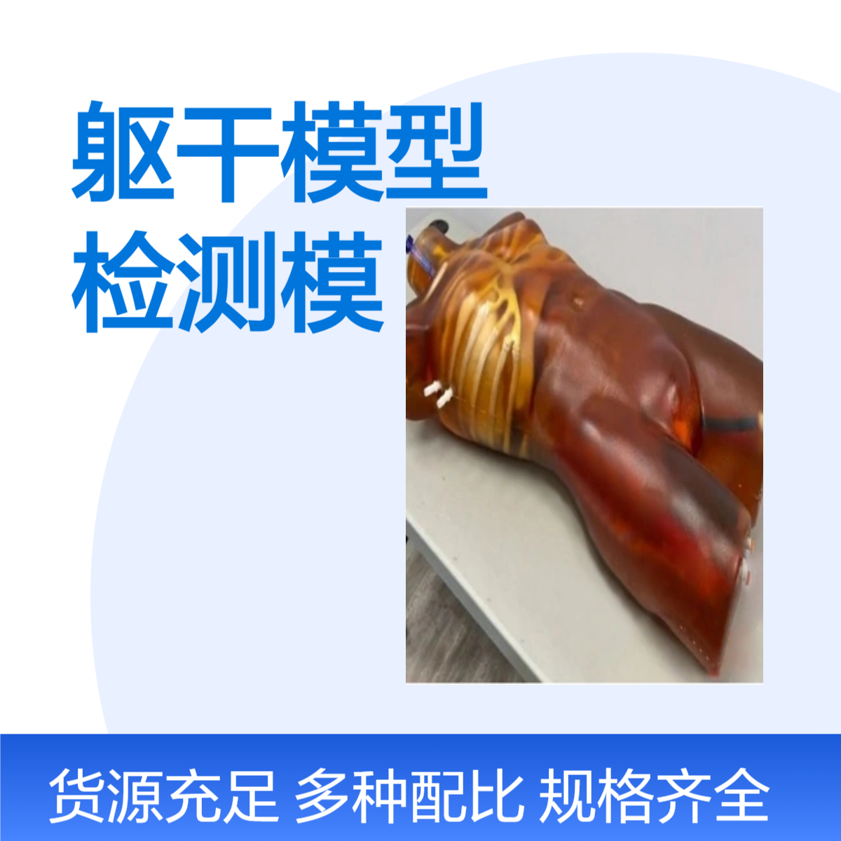 CT MRI成像成人躯干模型MRI成像检测模体教学成像模型人体躯干成像模型