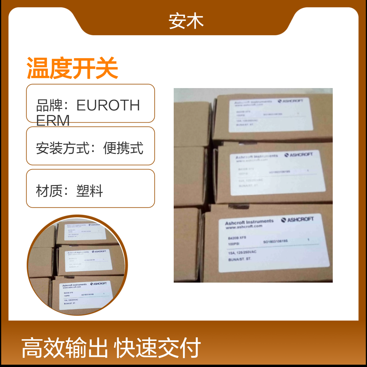 雅斯科ASHCROFT便携式塑料温度开关 220V黑色按钮款 热温测量