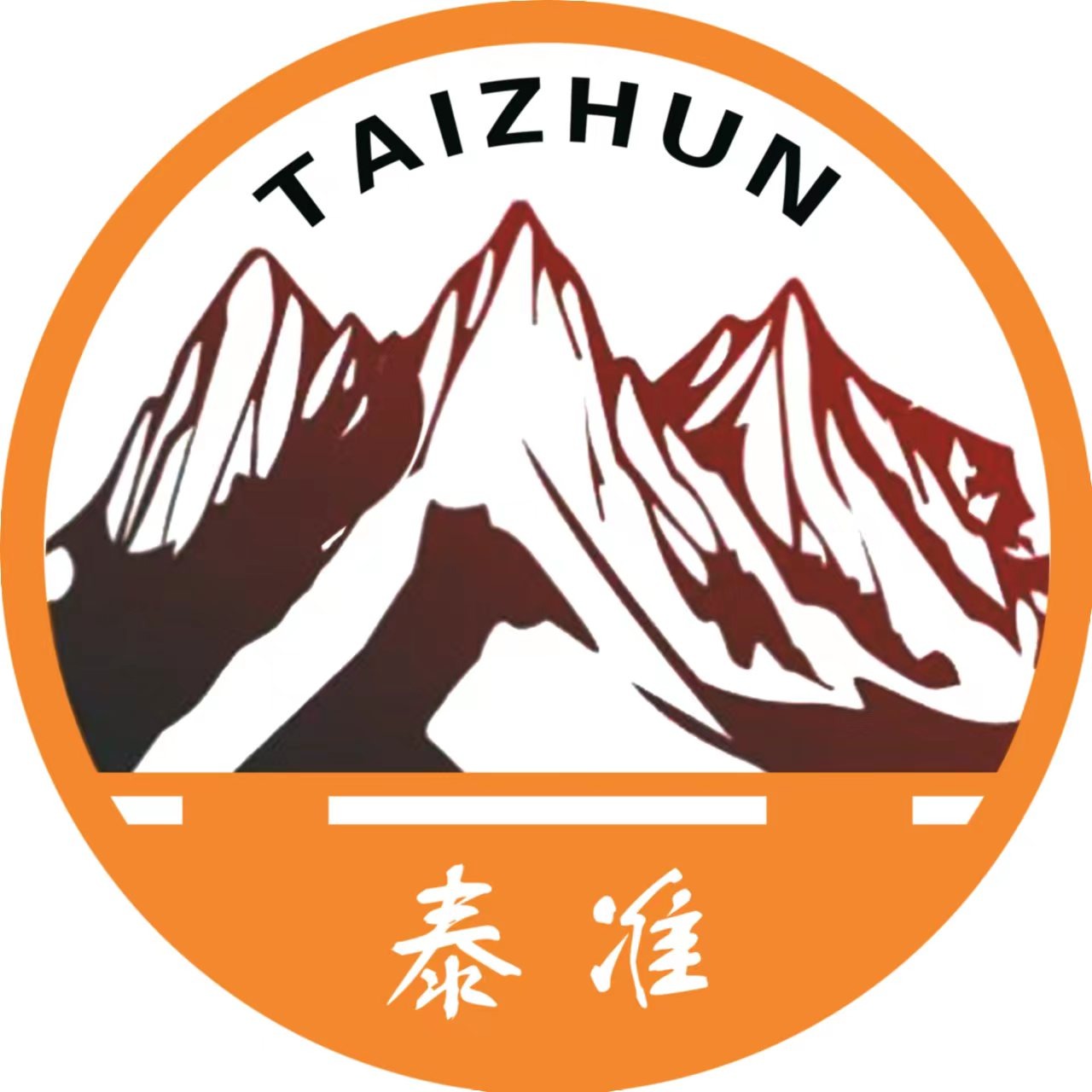 山东泰准衡器有限公司 - 公司logo