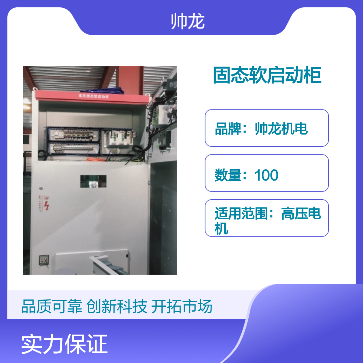 帅龙机电SGR型号固态软启动柜 适用于高压电机
