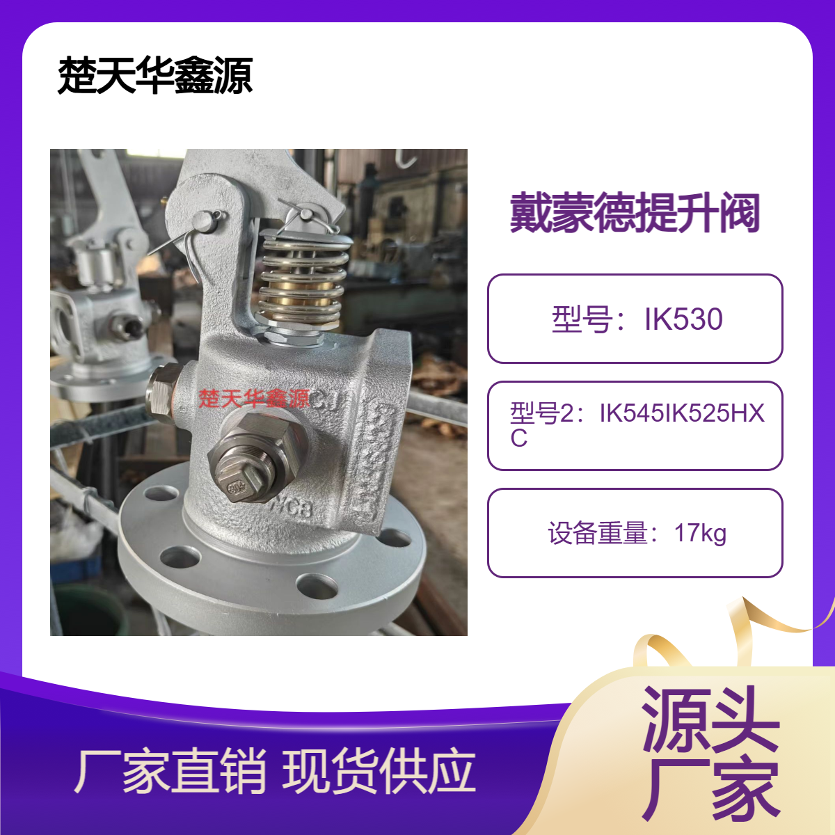 戴蒙德吹灰器IK525提升阀poppet Valve assy耐高压耐腐蚀