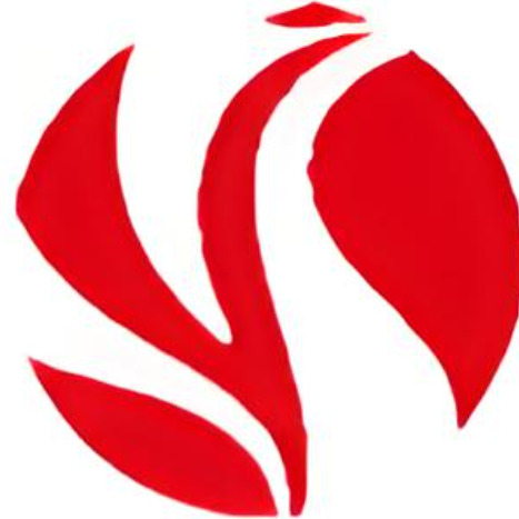 重庆速亿机械有限公司 - 公司logo