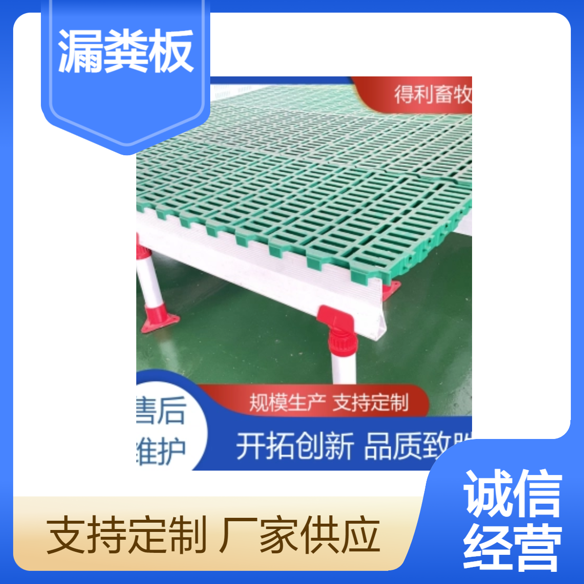 得利畜牧白色漏粪板养殖设备配件羊场专用 塑料羊床