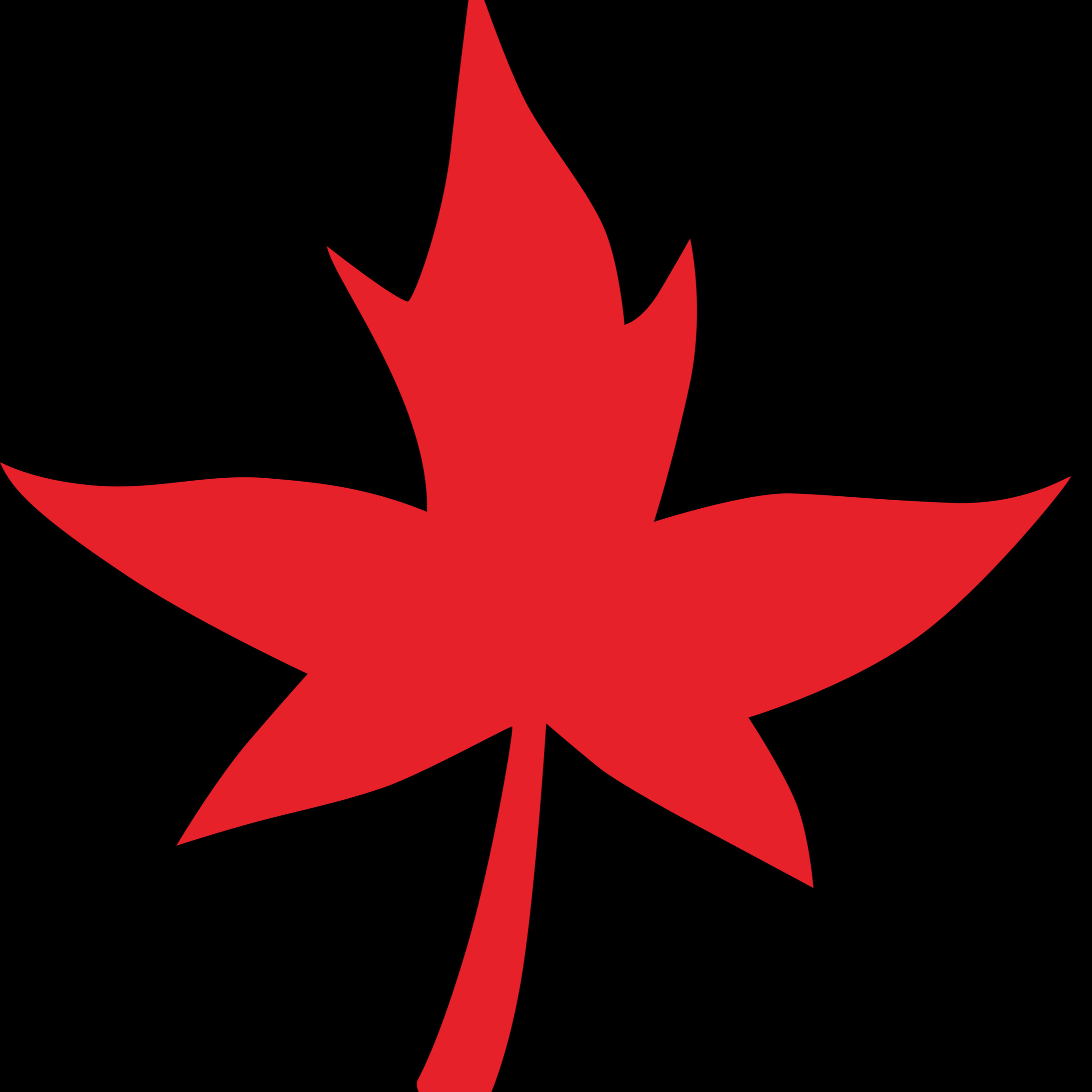 长沙枫树林电子科技有限公司