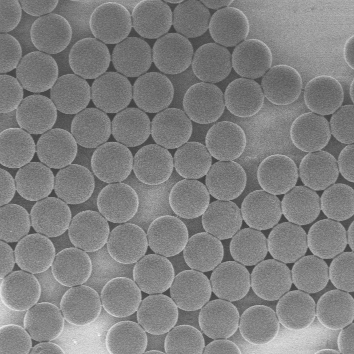 链霉亲和素磁珠：生命科学实验中的得力助手